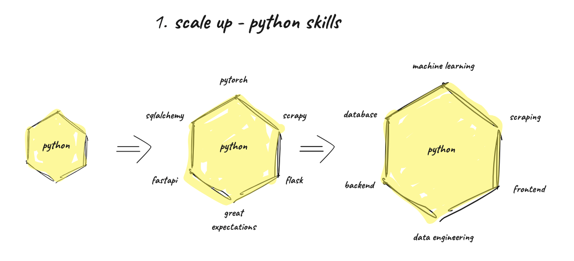 python skills